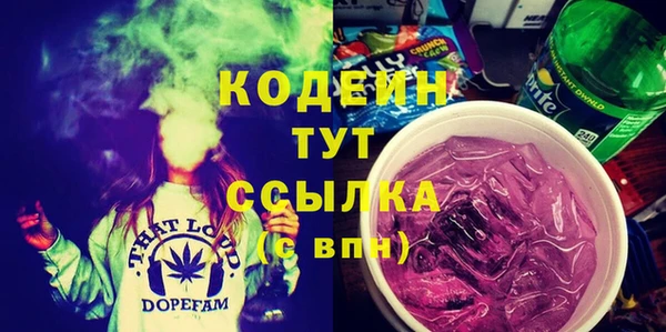 мдпв Вяземский